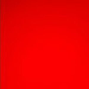 Meet your Posher, Bryan